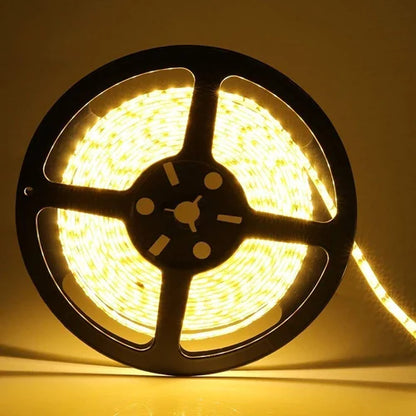 SMD Strip Light 2835 – 24V | 10 Meter Roll